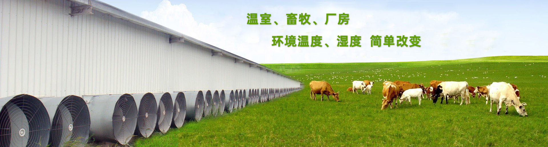 TFƽ_(ti)ƽ